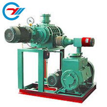 上海巖湖真空泵制造廠 專(zhuān)業(yè)生產(chǎn)與銷(xiāo)售真空泵及真空設(shè)備解決方案